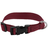 Hondenhalsband RIDING WORLD - Pat Koningsblauw