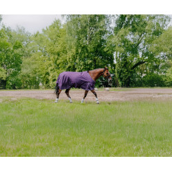 Equithème Tyrex Aisance 600D deken Pruim Violet