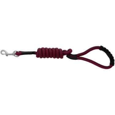 Hondenriem met handvat RIDING WORLD - Lucky Bordeaux
