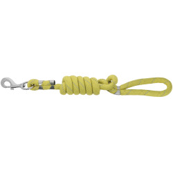 Hondenriem EQUITHÈME - Rio Geel