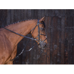 Katrolblok Riding World Zwart Katrolblok Riding World Zwart