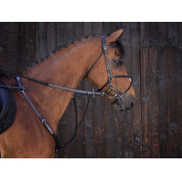Martingaal met ringen Riding World Zwart