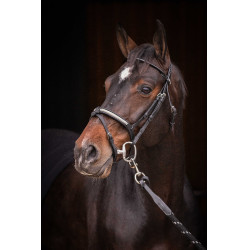 Bridon Pénélope Symphonie