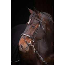 Bridon Pénélope Symphonie