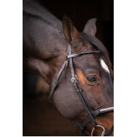 Bridon Pénélope Symphonie Zwart