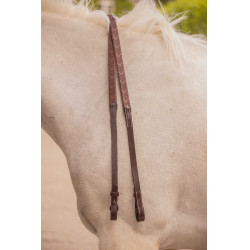 Teugels Eden Pénélope