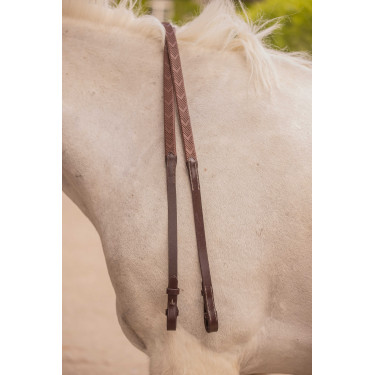 Teugels Eden Pénélope