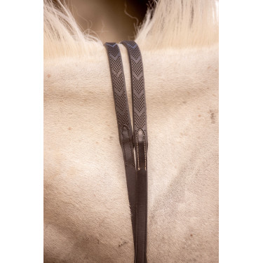 Teugels Eden Pénélope