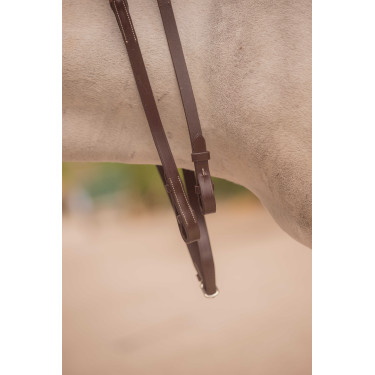 Teugels Eden Pénélope