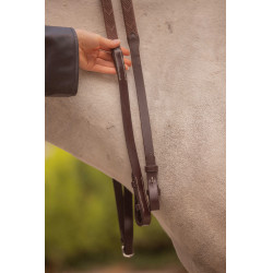 Teugels Eden Pénélope