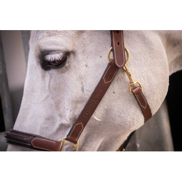 Leren halster met 3 musketons Paddock Sports Havana Bruin