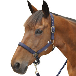 Nylon gevoerde halster Canter
