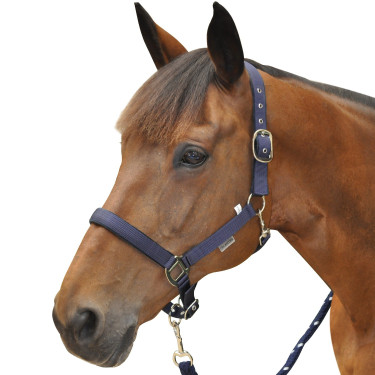 Nylon gevoerde halster Canter Nylon gevoerde halster Canter