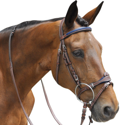 Bridon Vlaggen & Beker Parijs gecombineerd Marron / marine