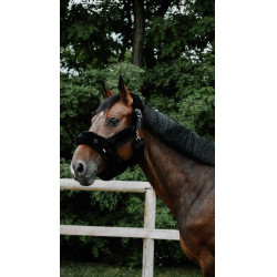 Halster Je t'aime Equithème Snuggy Zwart