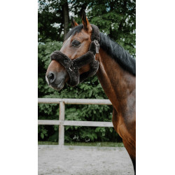 Halster Je t'aime Equithème Snuggy Bruin