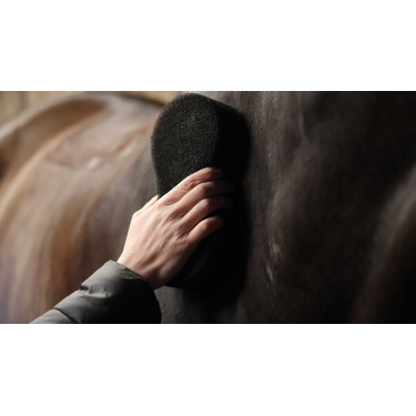 Lami-Cell Shine-spons scrubber Zwart