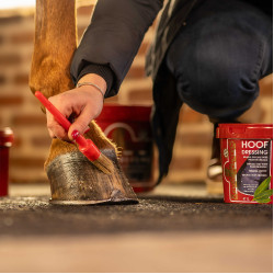 Kevin Bacon's Hoof Dressing Winter hoefvet Kevin Bacon's Hoof Dressing Winter hoefvet