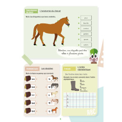 Mijn Activiteitenboek Lavauzelle Niveau CP Mijn Activiteitenboek Lavauzelle Niveau CP