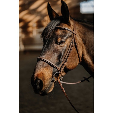 Bridon Norton Hunter zacht