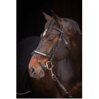 Bridon Pénélope Symphonie Havana Bruin