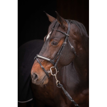 Bridon Pénélope Symphonie Zwart