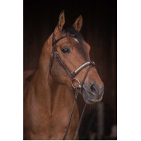 Bridon Pénélope Symphonie Havana Bruin