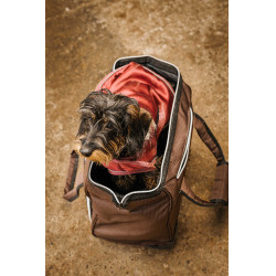 Poetstas op wieltjes Equithème Bruin