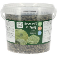 HIPPOTONIC hooinetten