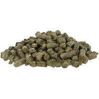 HIPPOTONIC hooinetten