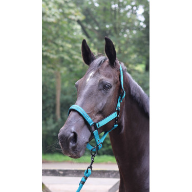 Longeerlijn Lami-Cell Charming