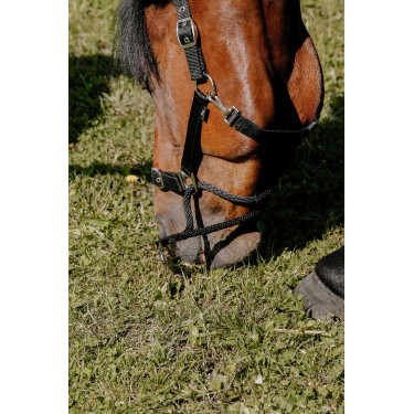 Norton Educatief Halster Zwart