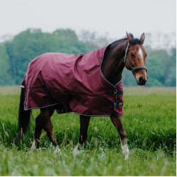 Equithème TYREX 1200D High Neck deken Bordeaux