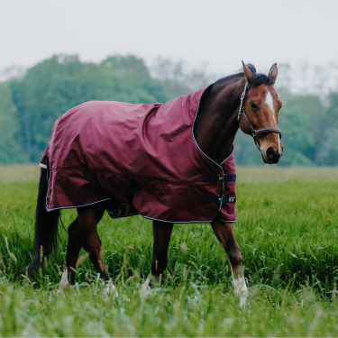 Equithème TYREX 1200D High Neck deken Bordeaux