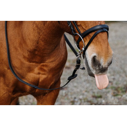 Rubberen teugels Norton Training PVC Zwart