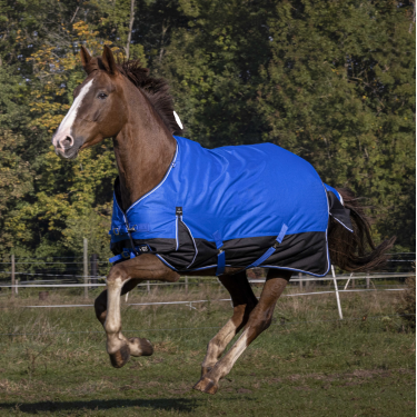 Equithème Tyrex Aisance 1200D deken Koningsblauw Equithème Tyrex Aisance 1200D deken Koningsblauw