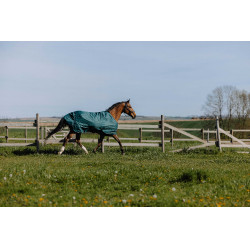 Equithème TYREX 600D deken Groen