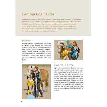 20 Circusacts met uw paard Vigott