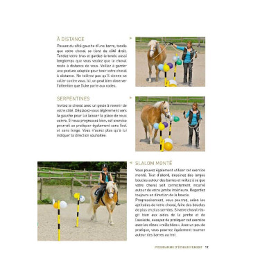 20 Circusacts met uw paard Vigott