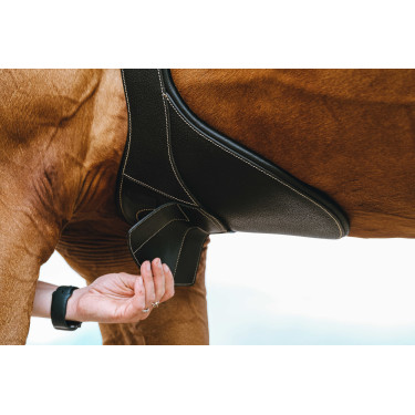 Magnetische singel Norton Zwart