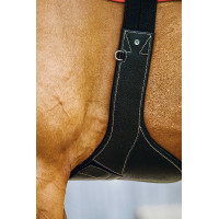 Magnetische singel Norton Magnetische singel Norton