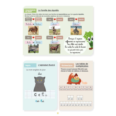 Mijn Werkboek Activiteiten Niveau CM2 Lavauzelle