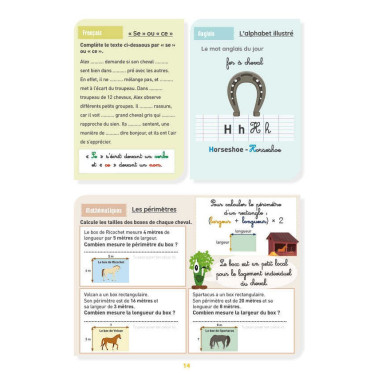 Mijn Werkboek Activiteiten Niveau CM2 Lavauzelle