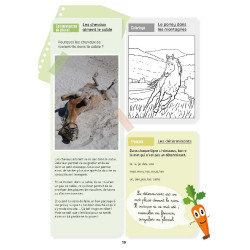 Mijn Activiteitenboek Niveau CE1 Lavauzelle