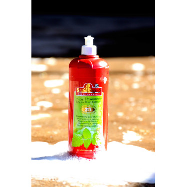 KEVIN BACON’S shampoo – Lucy Diamonds