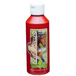 KEVIN BACON’S shampoo – Lucy Diamonds KEVIN BACON’S shampoo – Lucy Diamonds