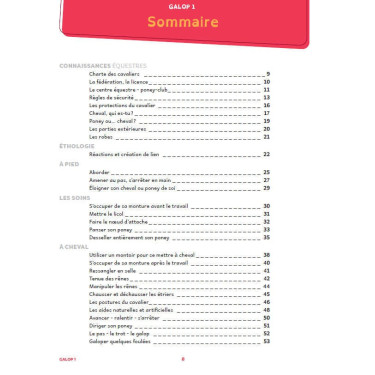 Galops 1 tot 4 met video's Lavauzelle