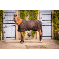 Mesh Overhemd Paddock Sports Zwart