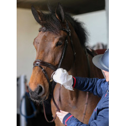 Reinigingshandschoenen Belvoir® Carr & Day & Martin Tack Cleaner Wit