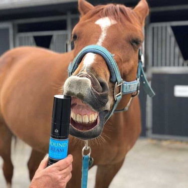 Kalmerende crème Carr & Day & Martin Wound Cream